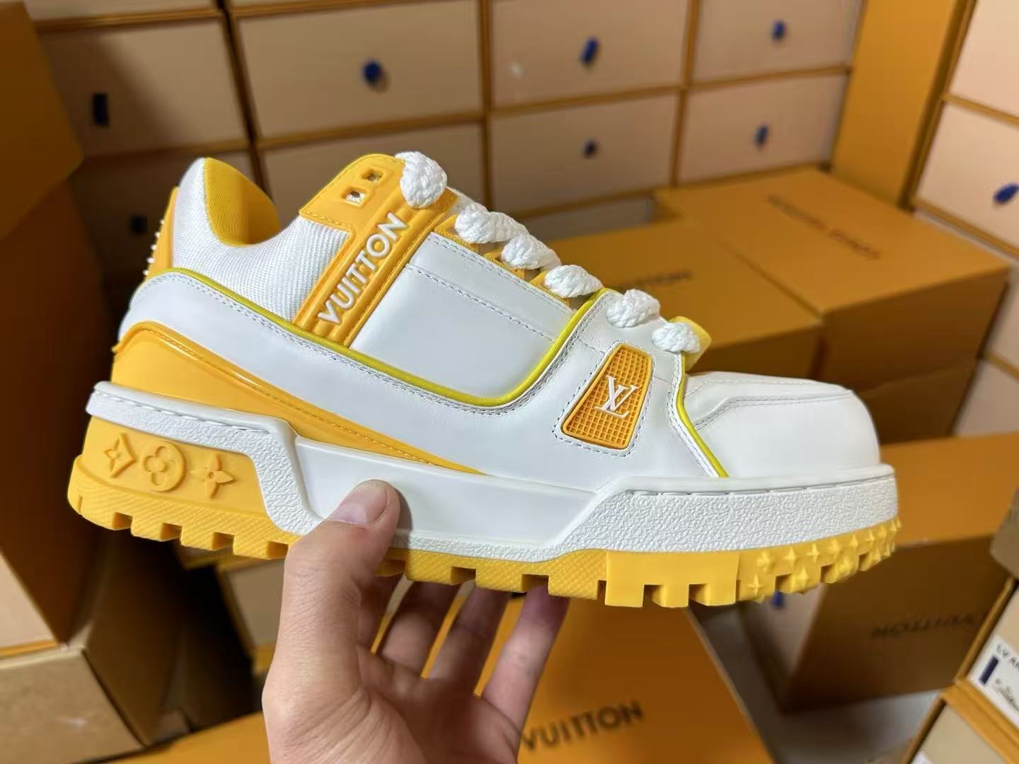 LV trainer  (Replica)