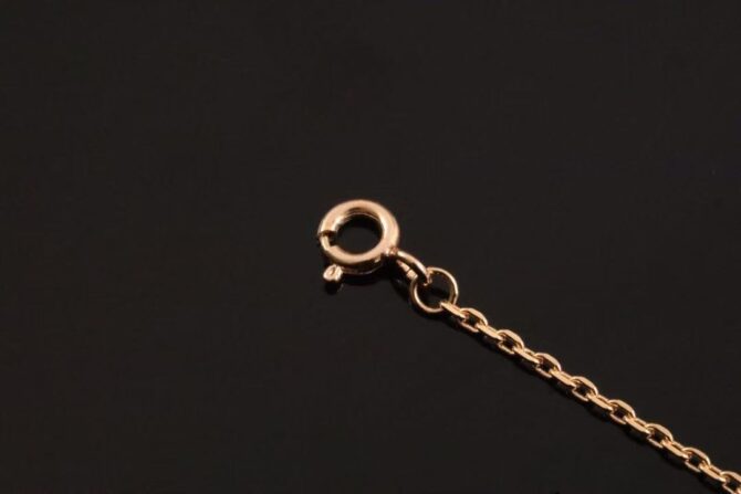 Star Color Blossom BB, rose gold(Replica) – Image 4