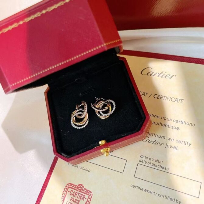 Interlinked Hoops(Replica) - Image 4
