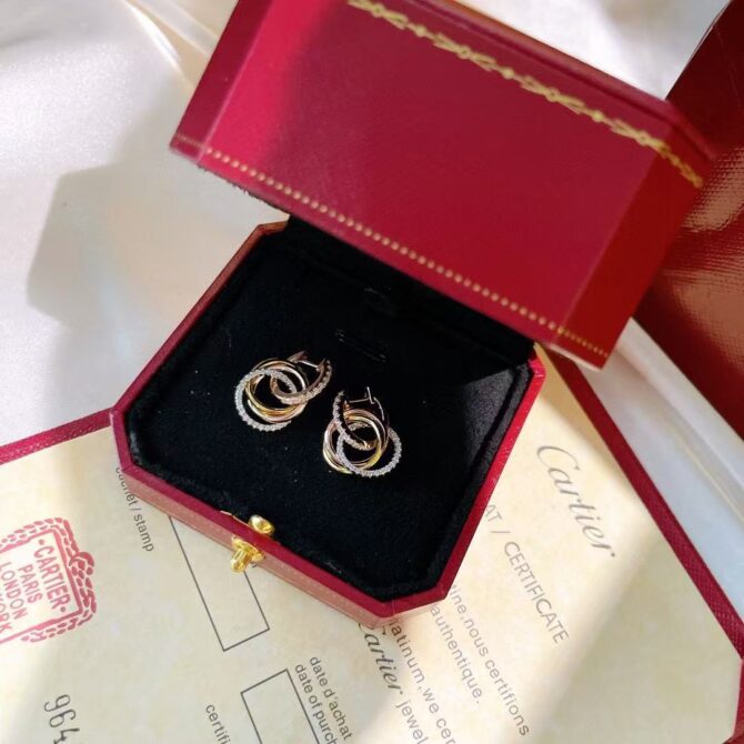 Interlinked Hoops(Replica) - Image 7