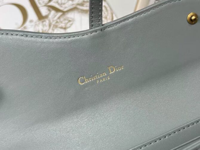 Petite pochette à chaîne Saddle(Replica) – Image 8