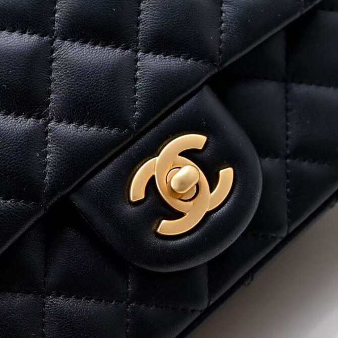 Flap Bag Pearl Crush(Replica) - Image 13